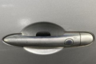 Porte arriere gauche RENAULT SCENIC 2