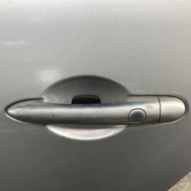 Porte arriere gauche RENAULT SCENIC 2 Photo n°2