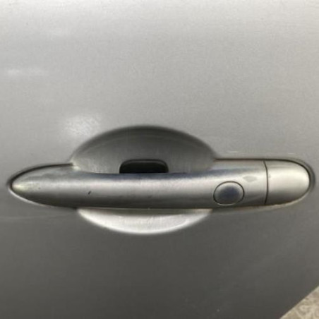 Porte arriere gauche RENAULT SCENIC 2