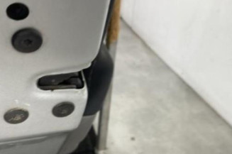 Porte arriere gauche RENAULT SCENIC 2