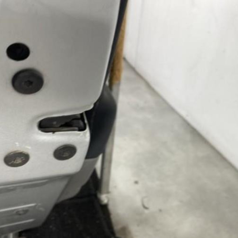 Porte arriere gauche RENAULT SCENIC 2 Photo n°3