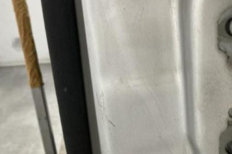 Porte arriere gauche RENAULT SCENIC 2