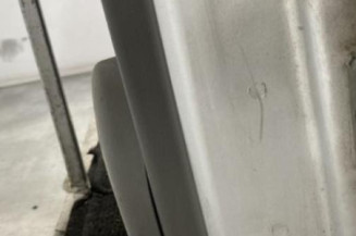 Porte arriere gauche RENAULT SCENIC 2