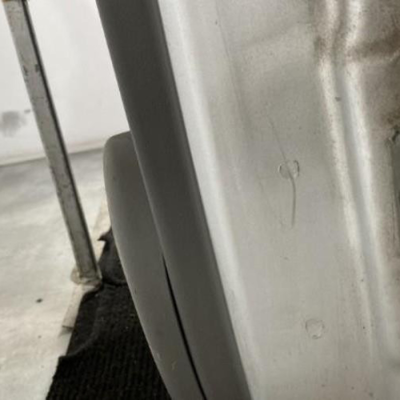 Porte arriere gauche RENAULT SCENIC 2 Photo n°5