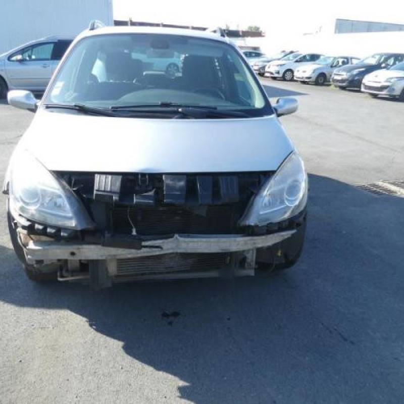 Porte arriere gauche RENAULT SCENIC 2 Photo n°7