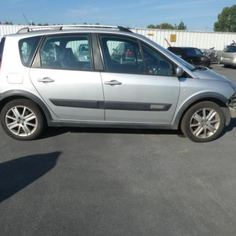 Porte arriere gauche RENAULT SCENIC 2 Photo n°8