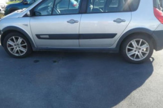 Porte arriere gauche RENAULT SCENIC 2