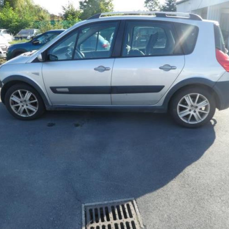 Porte arriere gauche RENAULT SCENIC 2 Photo n°10