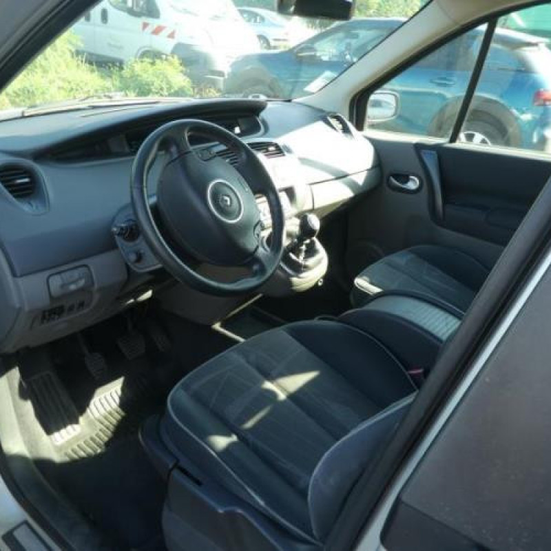 Porte arriere gauche RENAULT SCENIC 2 Photo n°11