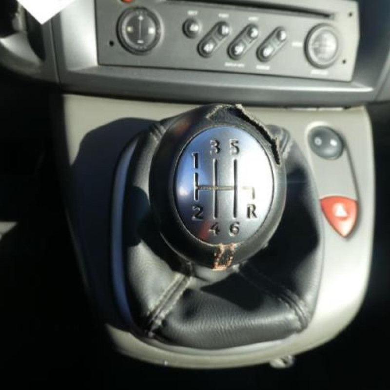 Porte arriere gauche RENAULT SCENIC 2 Photo n°12