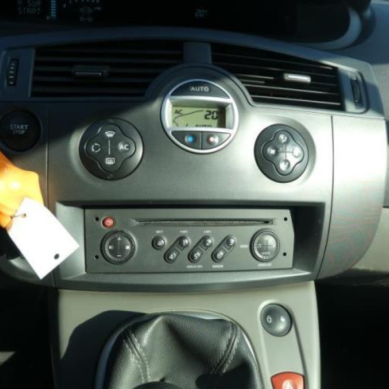 Porte arriere gauche RENAULT SCENIC 2 Photo n°13