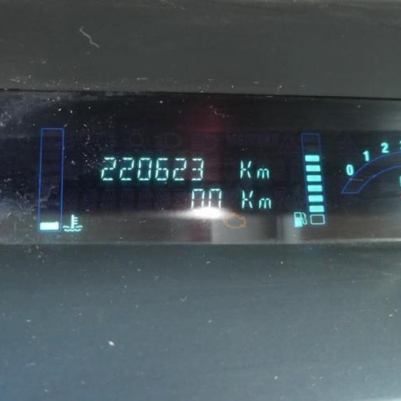 Porte arriere gauche RENAULT SCENIC 2 Photo n°14