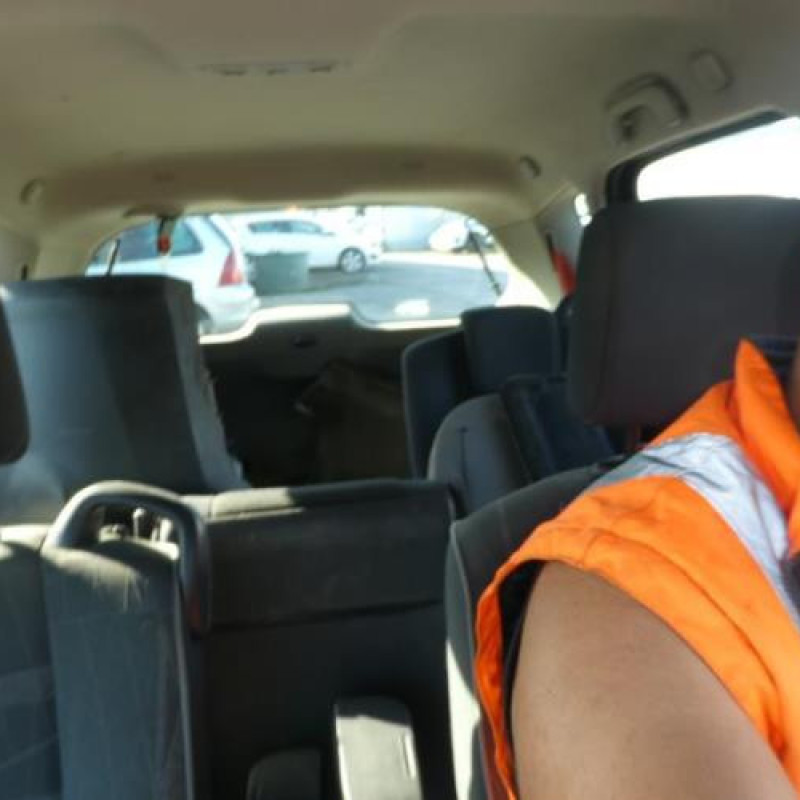 Porte arriere gauche RENAULT SCENIC 2 Photo n°15