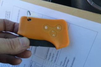 Porte arriere gauche RENAULT SCENIC 2
