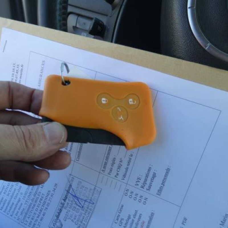 Porte arriere gauche RENAULT SCENIC 2 Photo n°16