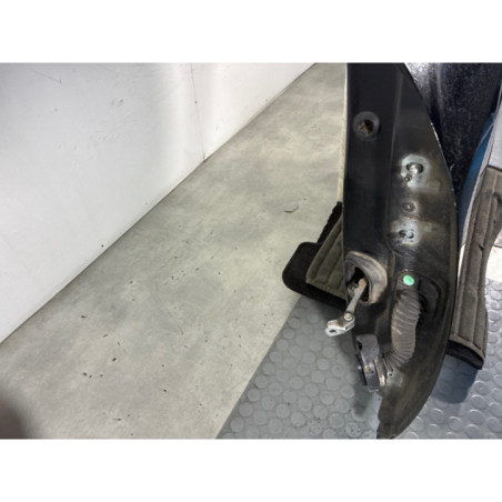 Porte avant gauche RENAULT MEGANE 3 Photo n°1