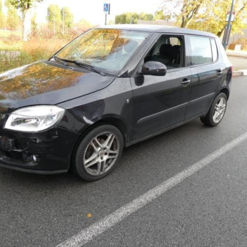 Porte avant droit SKODA FABIA 2 Photo n°6