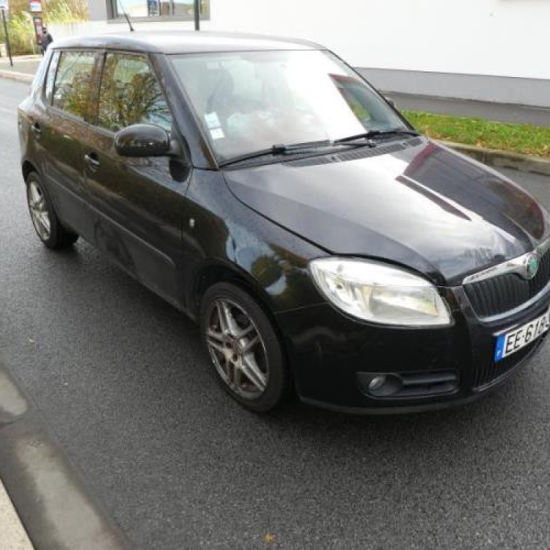 Porte avant droit SKODA FABIA 2 Photo n°7