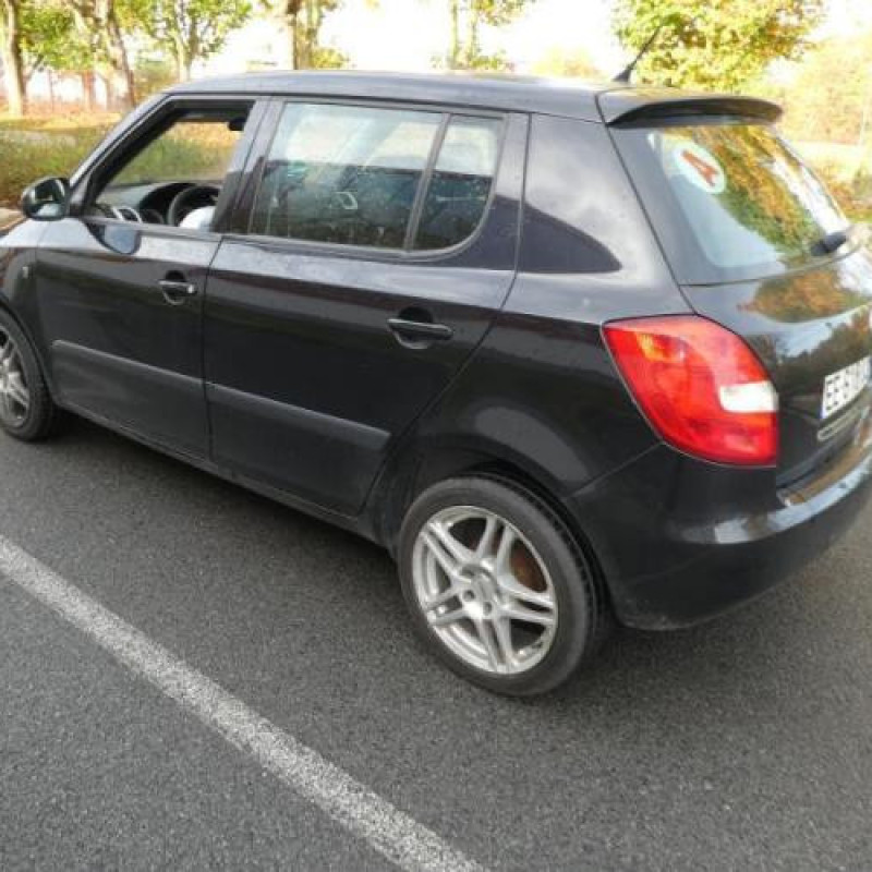 Porte avant droit SKODA FABIA 2 Photo n°9
