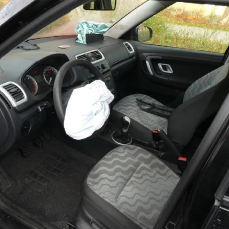 Porte avant droit SKODA FABIA 2 Photo n°10