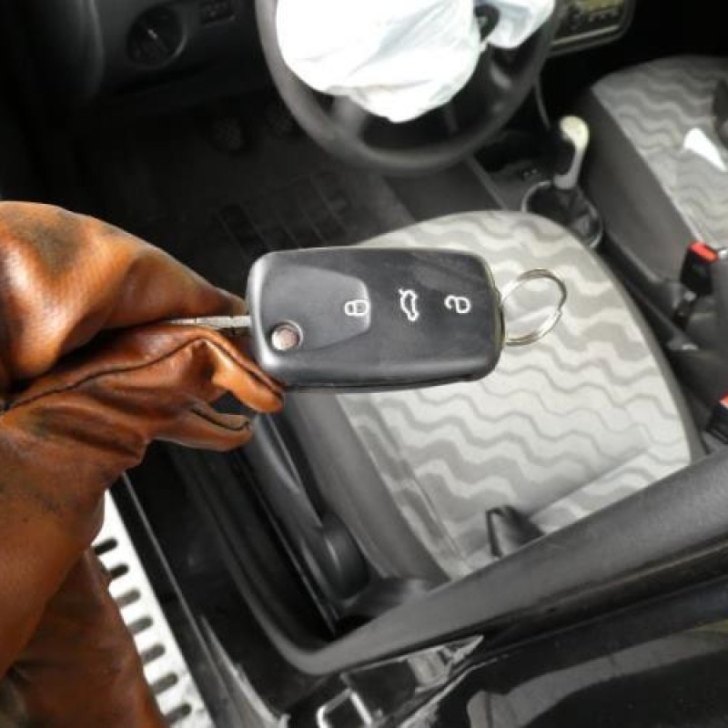 Porte avant droit SKODA FABIA 2 Photo n°19