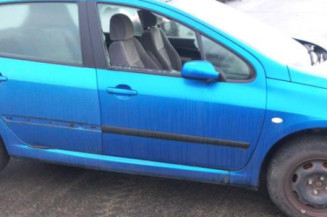 Jante PEUGEOT 307