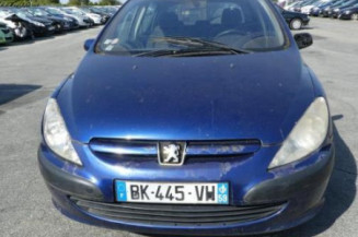 Jante PEUGEOT 307