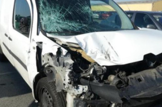 Colonne de direction RENAULT KANGOO 2