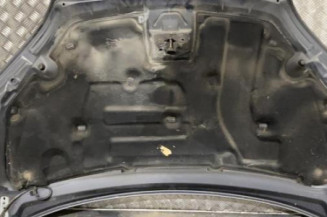 Capot FORD FOCUS 2