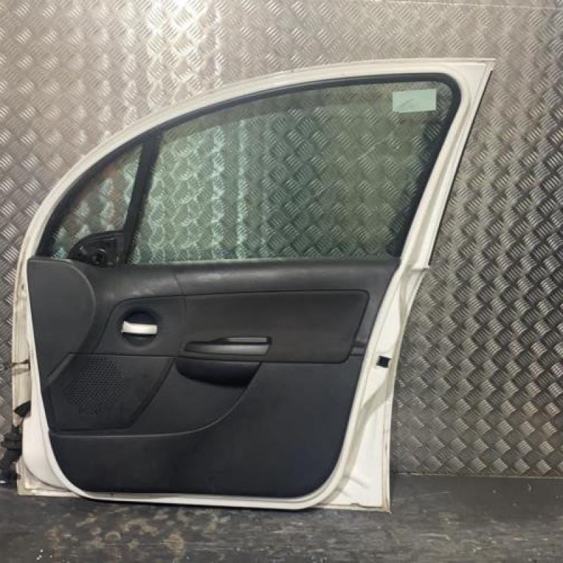 Porte avant droit CITROEN C3 1 Photo n°3