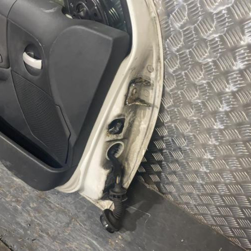 Porte avant gauche CITROEN C3 1 Photo n°5