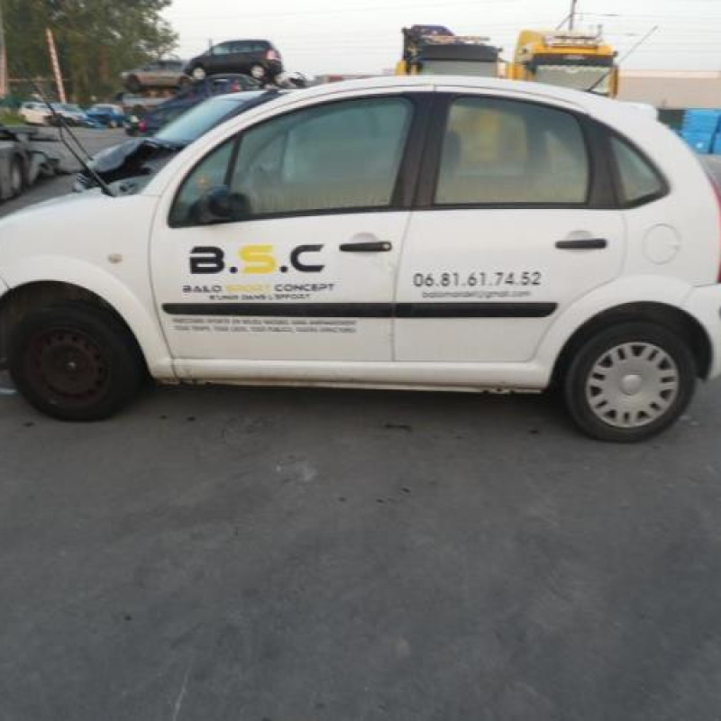 Porte avant gauche CITROEN C3 1 Photo n°9