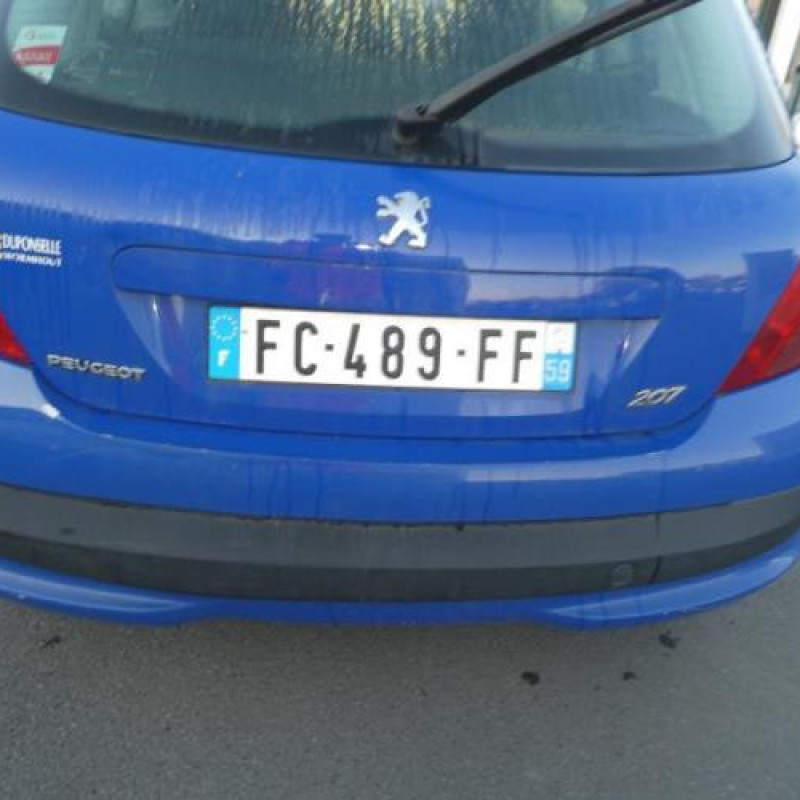 Capot PEUGEOT 207 Photo n°4