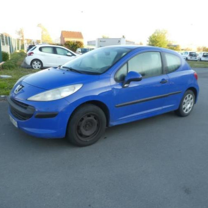 Capot PEUGEOT 207 Photo n°5