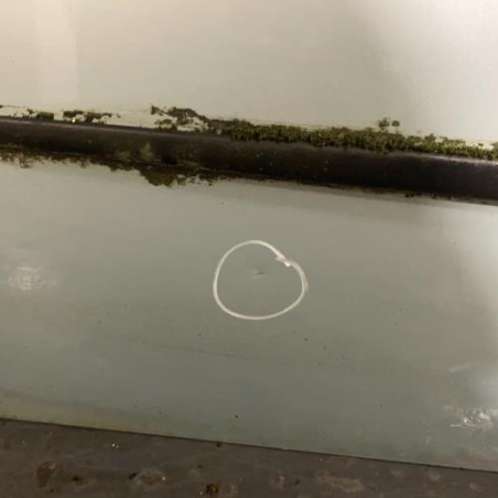 Porte avant gauche FIAT PUNTO 2