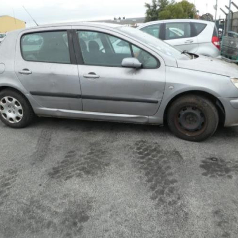 Jante PEUGEOT 307 Photo n°3