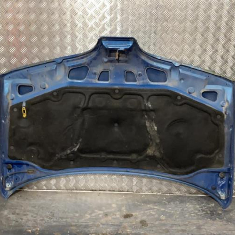 Capot RENAULT SCENIC 1 Photo n°3