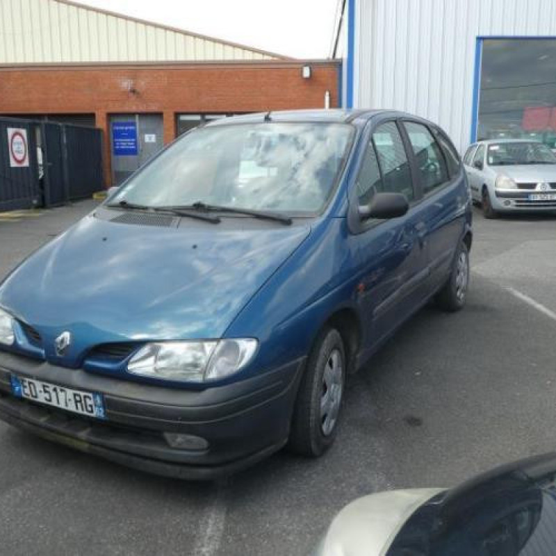 Capot RENAULT SCENIC 1 Photo n°4
