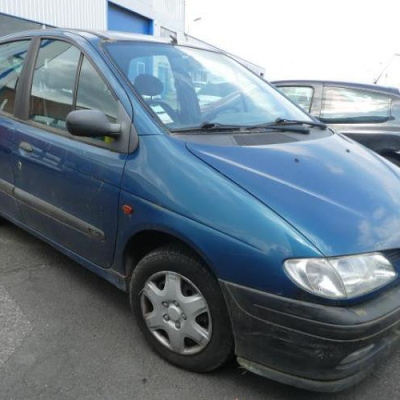 Capot RENAULT SCENIC 1 Photo n°5