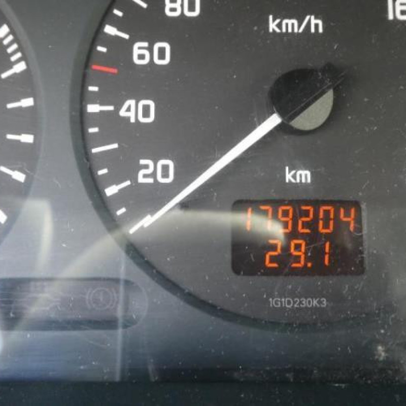 Capot RENAULT SCENIC 1 Photo n°12