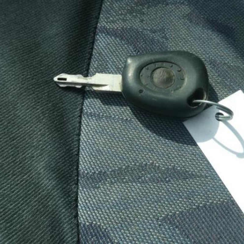 Capot RENAULT SCENIC 1 Photo n°13