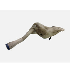 Vase de lave glace PEUGEOT 307 Photo n°1
