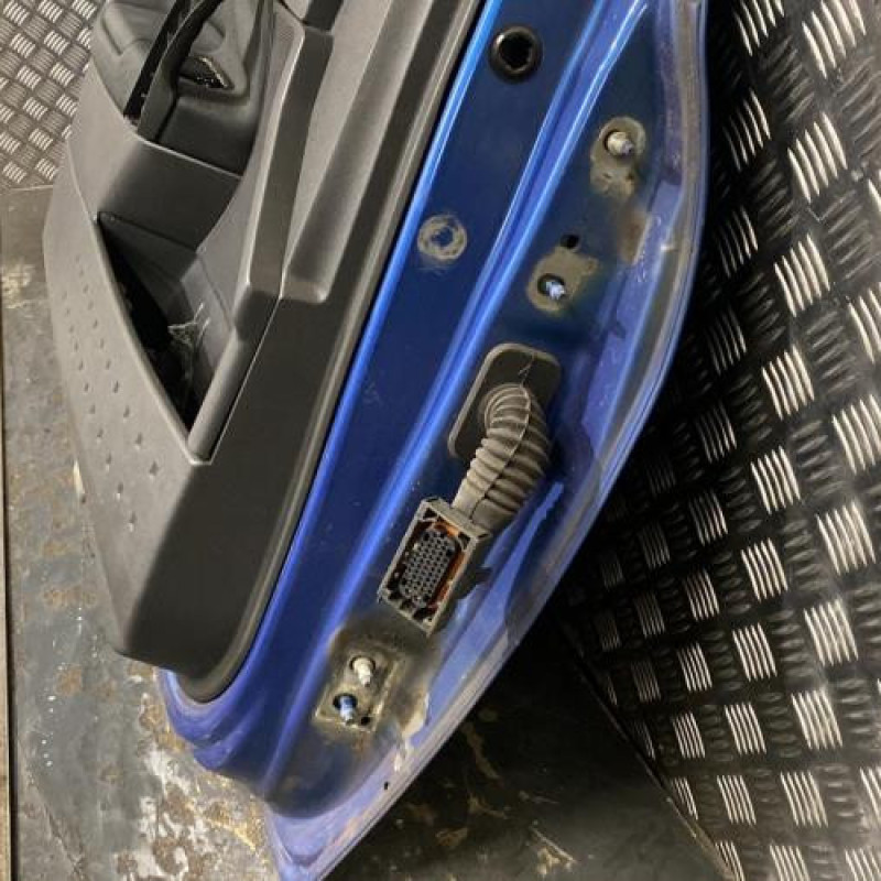 Porte avant gauche RENAULT MEGANE 2 Photo n°6