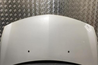 Capot RENAULT CLIO 3 Photo n°1