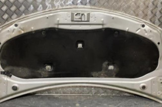 Capot RENAULT CLIO 3