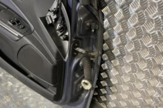 Porte avant gauche FIAT BRAVO 2