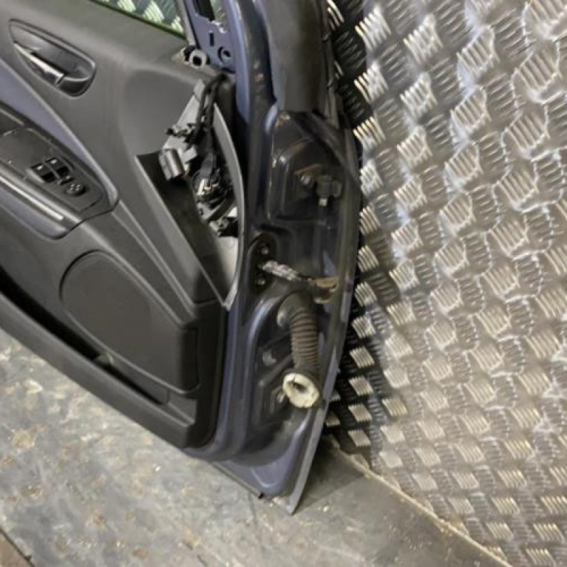 Porte avant gauche FIAT BRAVO 2 Photo n°5