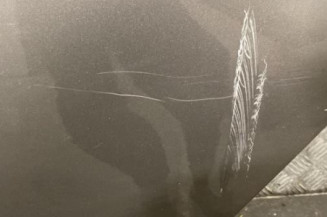 Porte arriere gauche FIAT BRAVO 2
