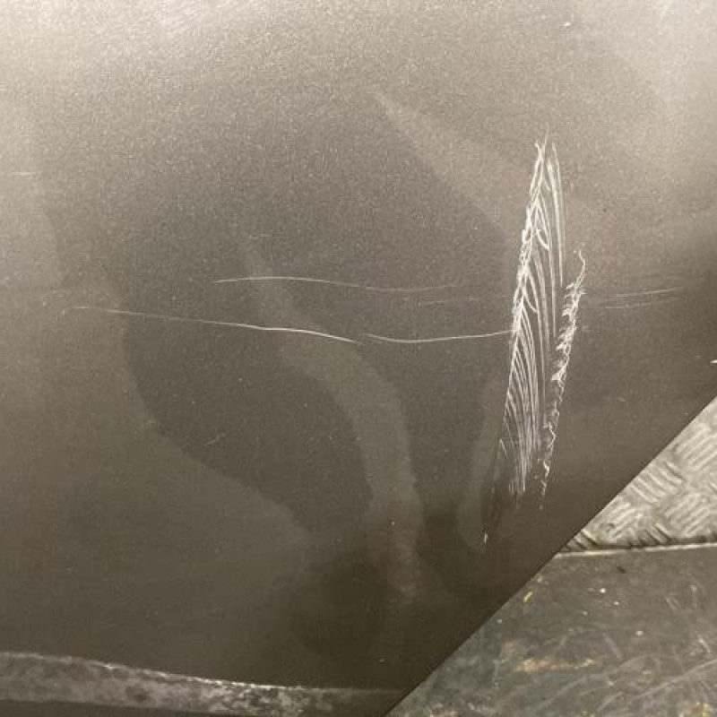 Porte arriere gauche FIAT BRAVO 2 Photo n°2