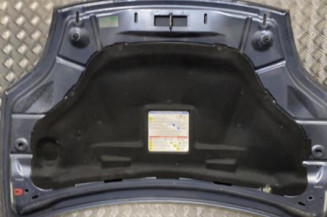 Capot FIAT BRAVO 2